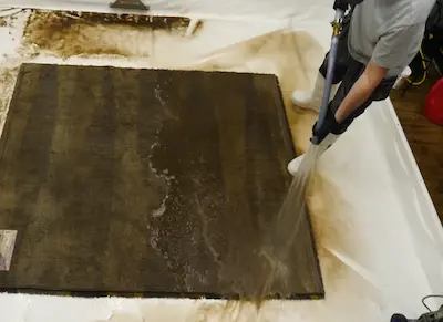 Carpet Cleaning Before Treatment Cairns Carpet Cleaning Before Treatment Cairns