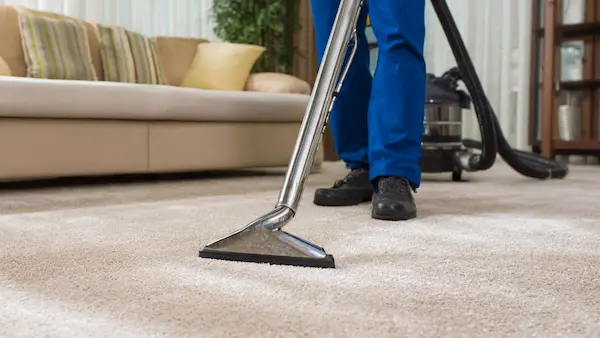 Professional carpet cleaning service in Cairns City removing dirt from carpet