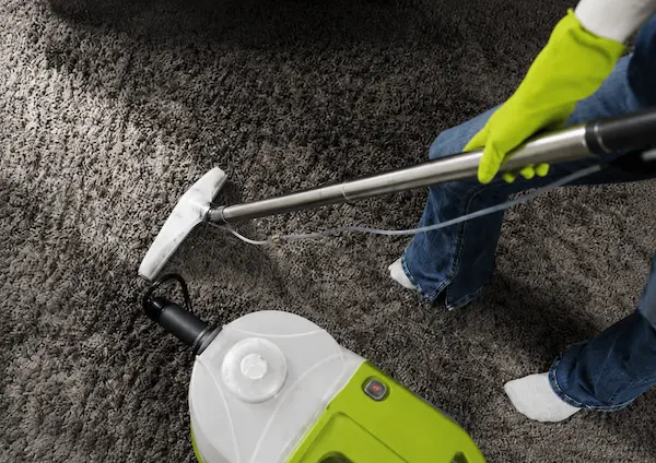 Professional carpet cleaning in Cairns using advanced steam cleaning equipment